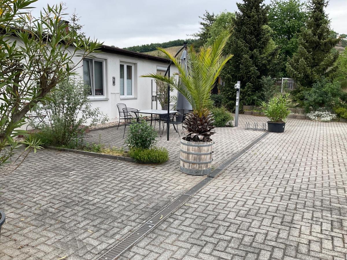 Ferienwohnung Mitko Radebeul Kültér fotó